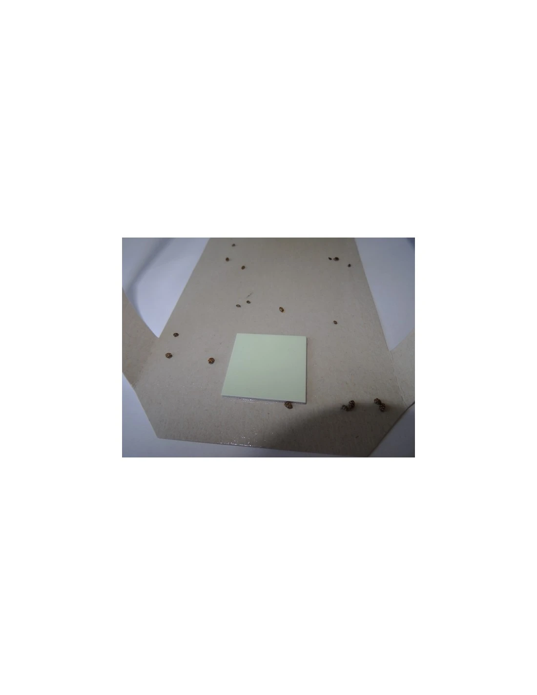 2 Uds Trampas Para Gorgojos 6 2 Uds Trampas Para Gorgojos - Imagen 6