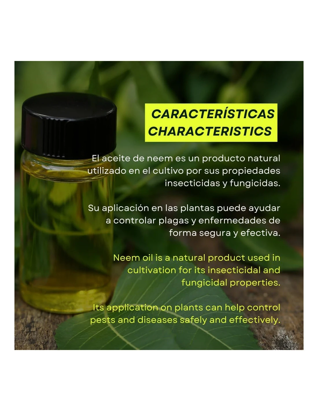 Aceite De Neem 30ml 2 Aceite De Neem 30ml - Imagen 2