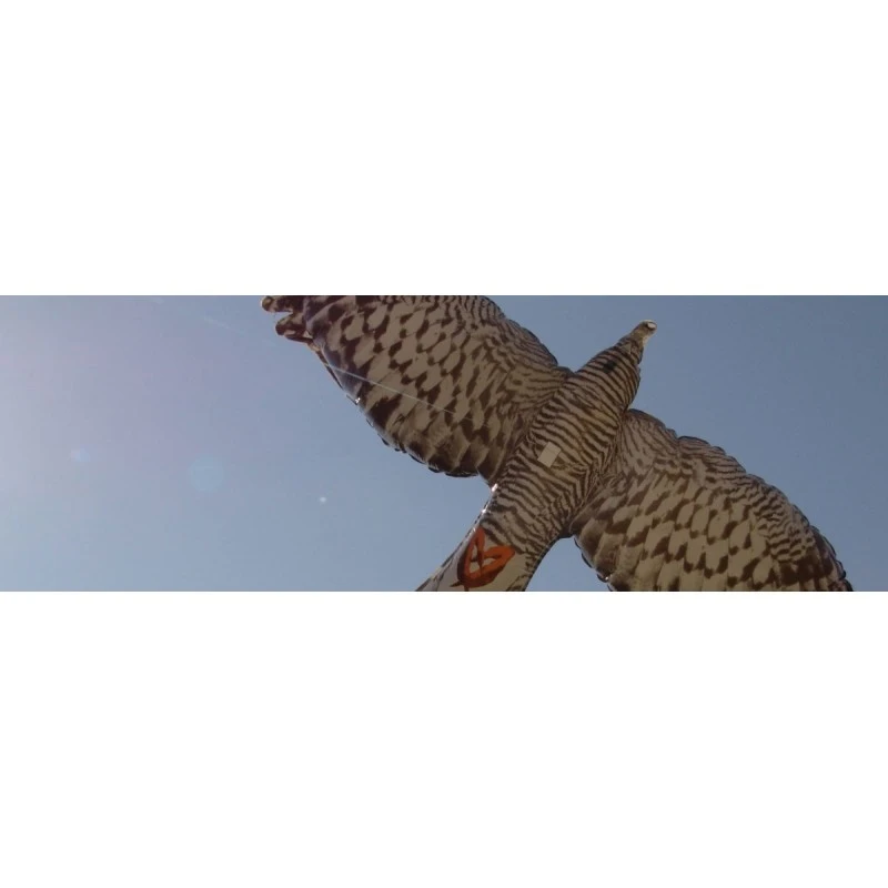 Ahuyentador De Aves Inflable Eko 2 Ahuyentador De Aves Inflable Eko - Imagen 2