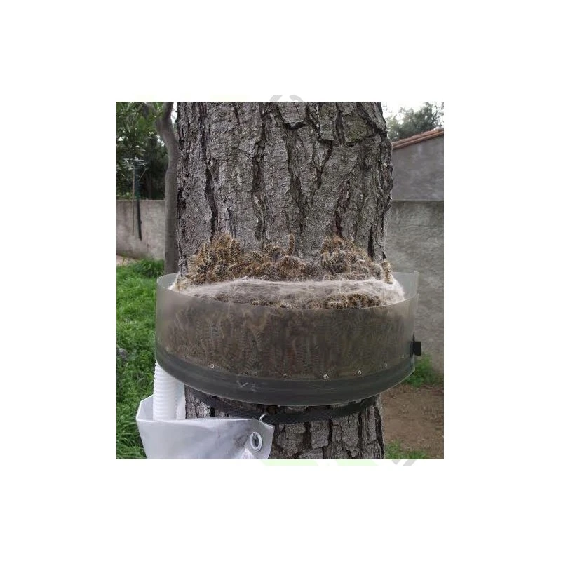 Collar Trampa Procesionaria SYS 2 Collar Trampa Procesionaria SYS - Imagen 2