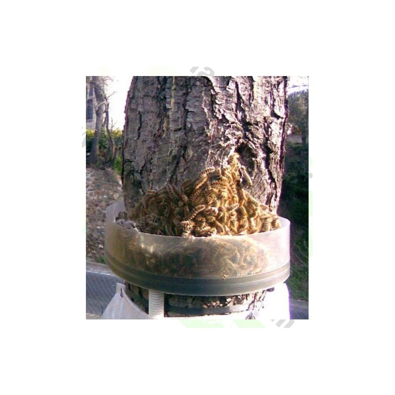 Collar Trampa Procesionaria SYS 3 Collar Trampa Procesionaria SYS - Imagen 3