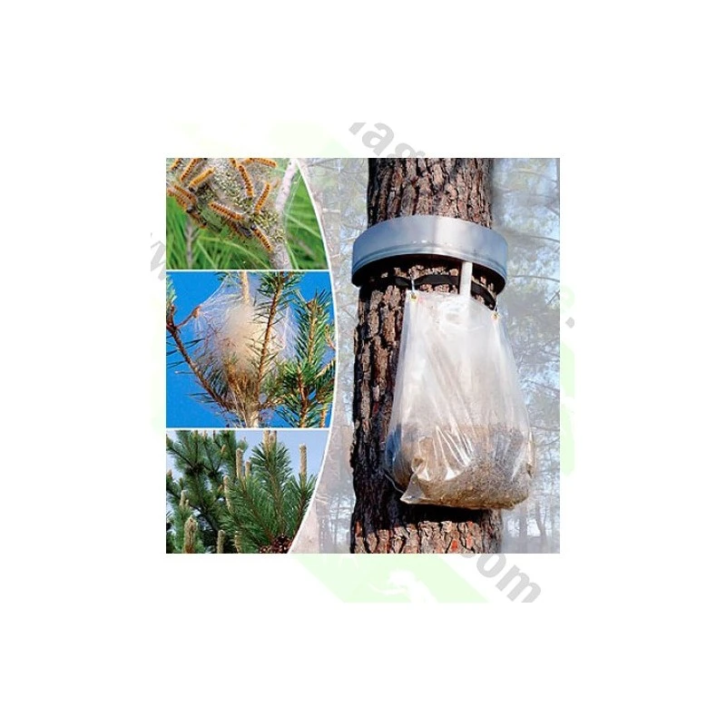 Collar Trampa Procesionaria SYS 1 Collar Trampa Procesionaria SYS