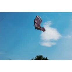 Cometa Espantapajaros Halcón 4m STV Con Mastil 6 Cometa Espantapajaros Halcón 4m STV Con Mastil -Plagasonline Ventas cometa espantapajaros halcon 4m stv 2