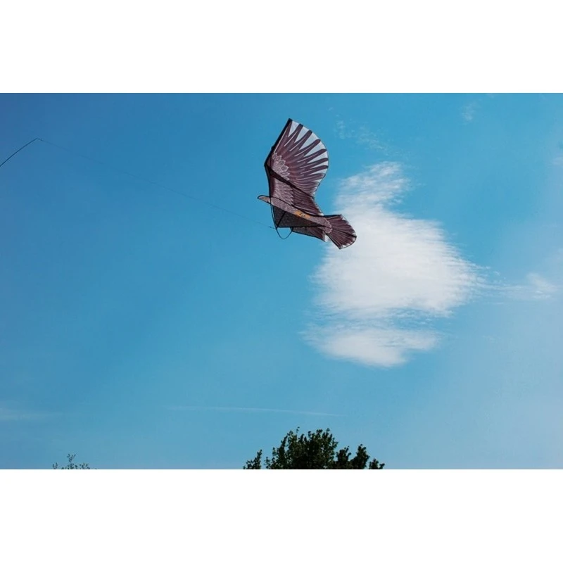 Cometa Espantapajaros Halcón 4m STV Con Mastil 3 Cometa Espantapajaros Halcón 4m STV Con Mastil - Imagen 3