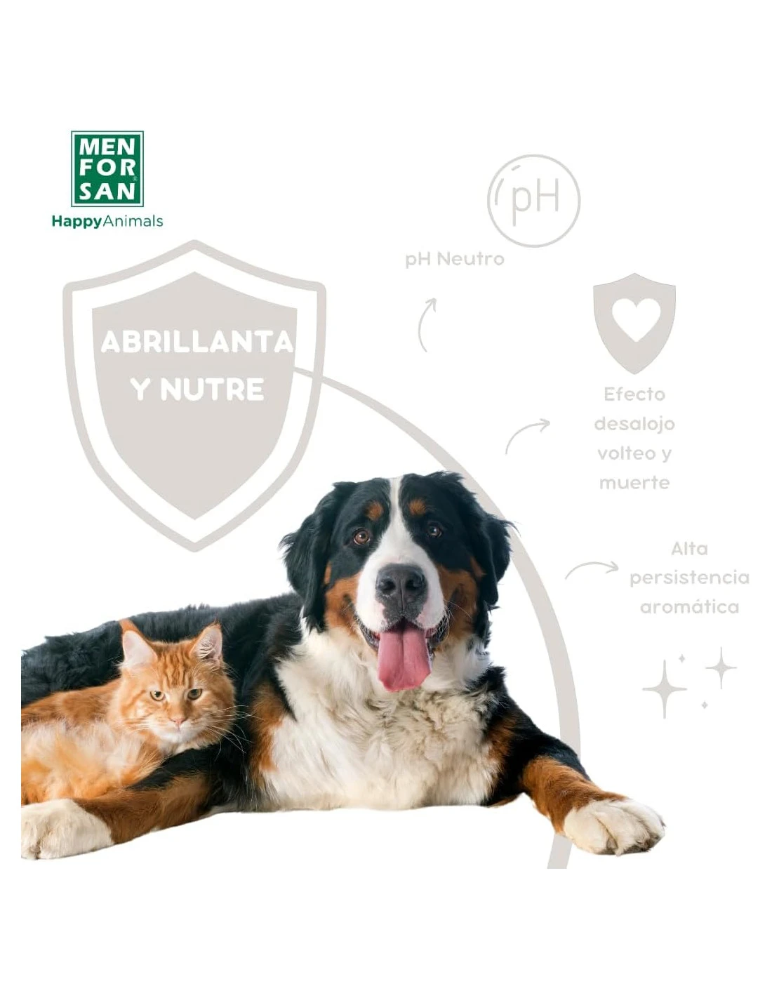 Fregasuelos Insecticida 1LT MF 5 Fregasuelos Insecticida 1LT MF - Imagen 5