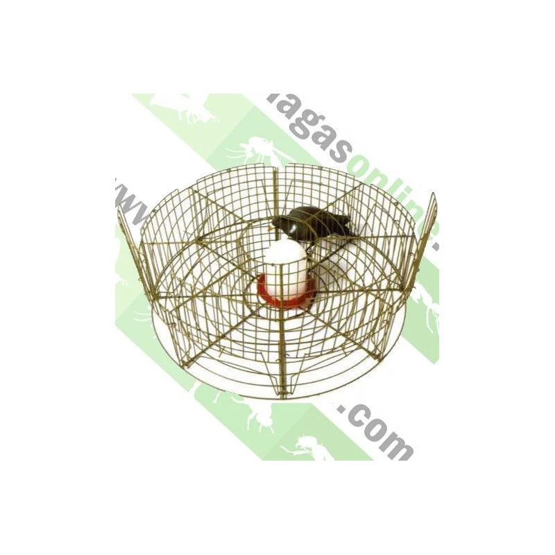 Jaula Circular Captura Palomas 1 Jaula Circular Captura Palomas
