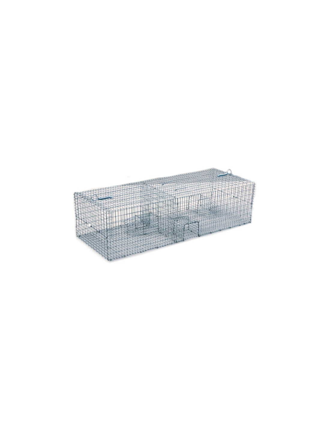 Jaula Multicaptura Para Ratas Y Ratones 1 Jaula Multicaptura Para Ratas Y Ratones