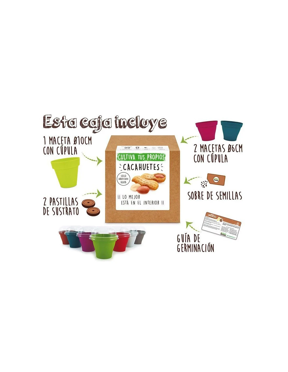 Kit Cultiva Cacahuetes 2 Kit Cultiva Cacahuetes - Imagen 2