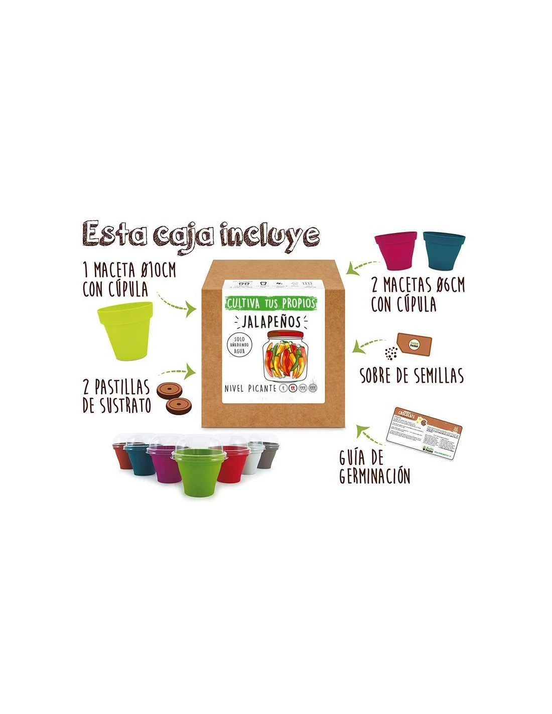 Kit Cultiva Jalapeños 2 Kit Cultiva Jalapeños - Imagen 2