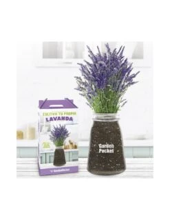 Kit Cultivo Interior Lavanda -Plagasonline Ventas kit cultivo interior lavanda 2