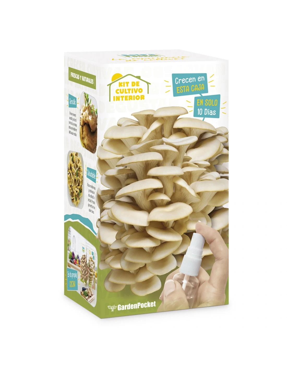 Kit De Autocultivo Setas Lote 5 Uds 1 Kit De Autocultivo Setas Lote 5 Uds