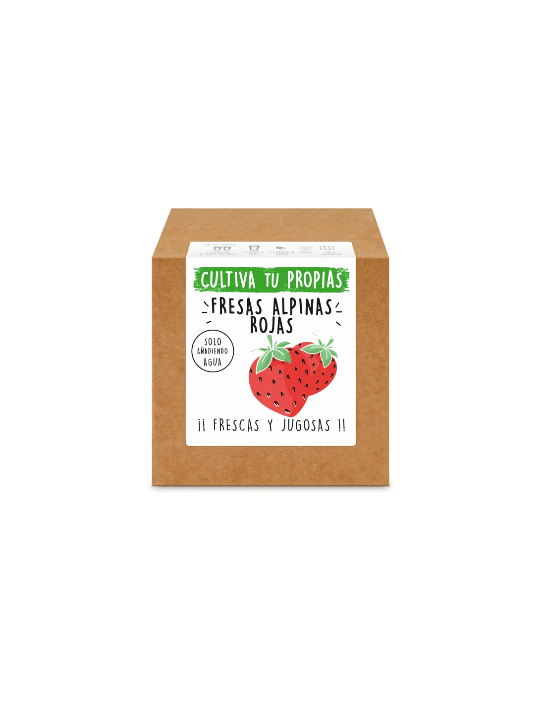 Kit FRESAS ROJAS 1 Kit FRESAS ROJAS