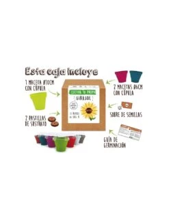 Kit Girasol