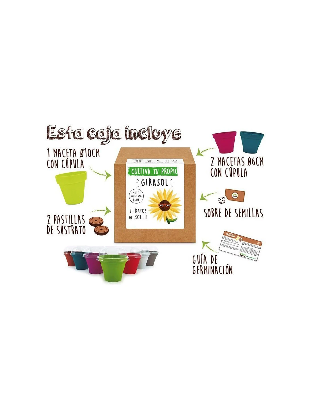 Kit Girasol 1 Kit Girasol