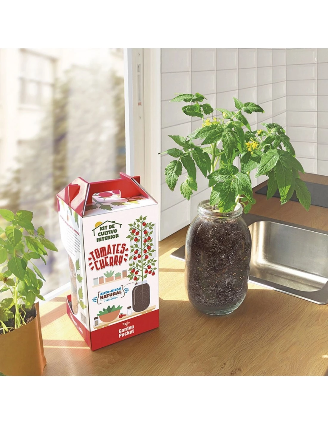 Kit Interior Tomate Cherry ECO 2 Kit Interior Tomate Cherry ECO - Imagen 2