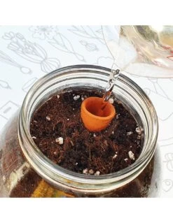 Kit Interior Tomate Cherry ECO 15 Kit Interior Tomate Cherry ECO -Plagasonline Ventas kit interior tomate cherry eco 5