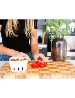 Kit Interior Tomate Cherry ECO 16 Kit Interior Tomate Cherry ECO -Plagasonline Ventas kit interior tomate cherry eco 6