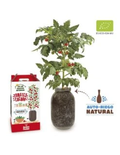 Kit Interior Tomate Cherry ECO 17 Kit Interior Tomate Cherry ECO -Plagasonline Ventas kit interior tomate cherry eco 7