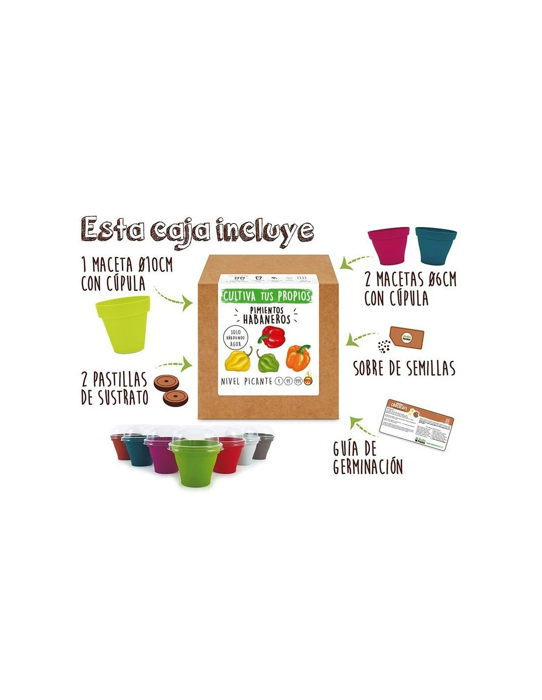 Kit Pimientos Habaneros 2 Kit Pimientos Habaneros - Imagen 2