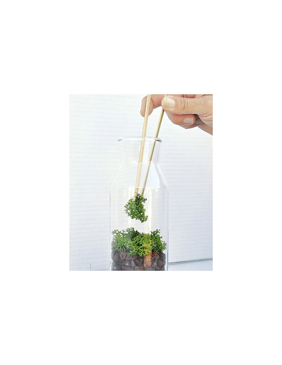 Kit TERRARIUM Vertical 3 Kit TERRARIUM Vertical - Imagen 3