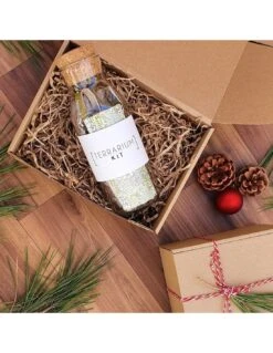 Kit TERRARIUM Vertical 9 Kit TERRARIUM Vertical -Plagasonline Ventas kit terrarium vertical 2