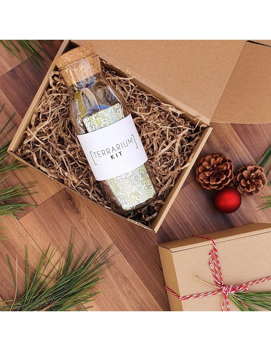 Kit TERRARIUM Vertical 4 Kit TERRARIUM Vertical - Imagen 4