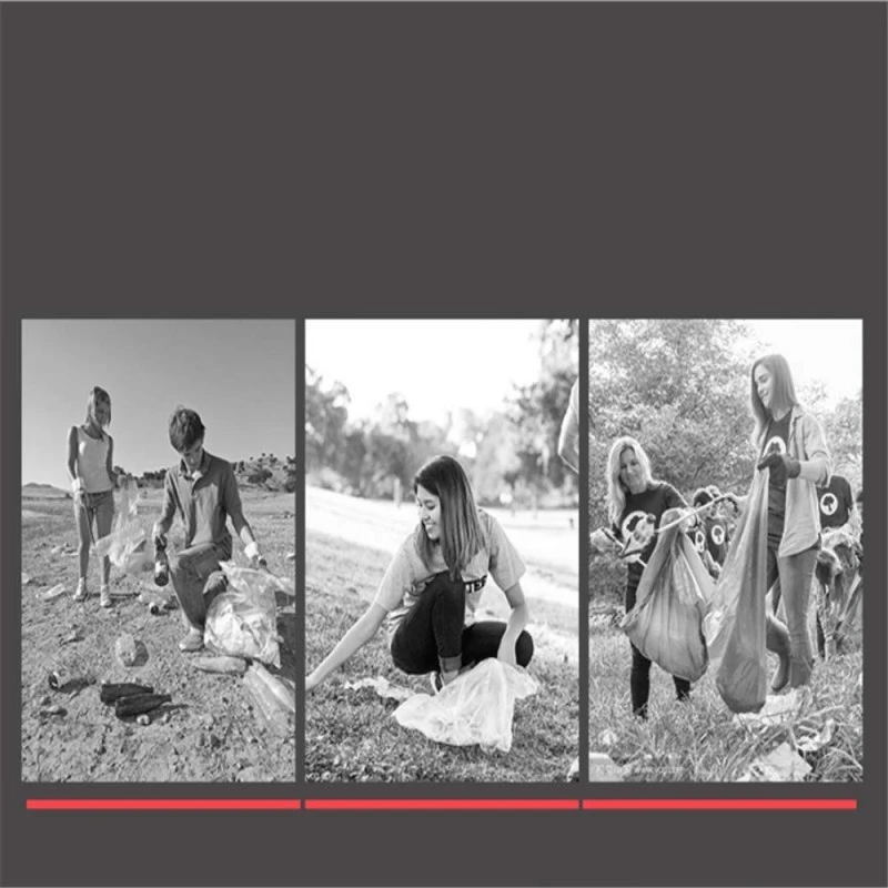 Pinza Recolectora De Mano 4 Pinza Recolectora De Mano - Imagen 4