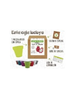 Kit PITAHAYA - FRUTA DEL DRAGÓN