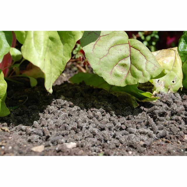 Repelente Caracoles Biodegradable 5L STV 2 Repelente Caracoles Biodegradable 5L STV - Imagen 2