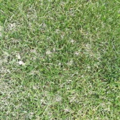 Repelente De Hormigas Natural 600gr STV -Plagasonline Ventas repelente de hormigas natural 600gr stv 3