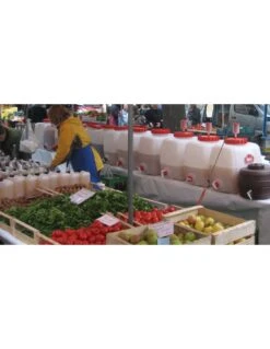 Barril Ovalado Con Grifo 5 Barril Ovalado Con Grifo -Plagasonline Ventas tonel pequeno para guardar licores 2