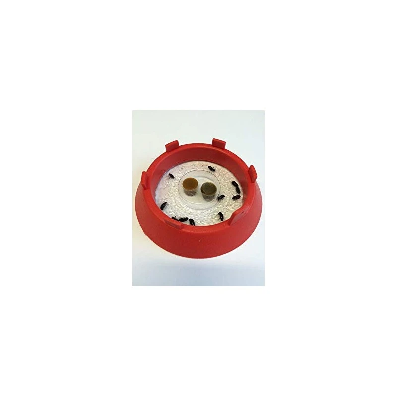 Trampa Escarabajo Del Jamón SAN 2 Trampa Escarabajo Del Jamón SAN - Imagen 2