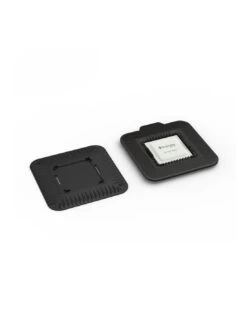 Trampa Detectora De Chinches Profesional 4 Uds -Plagasonline Ventas trampa interceptora de chinches 5