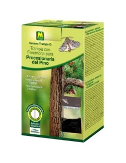 Trampa Mariposa Procesionaria Del Pino