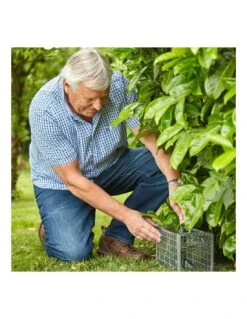 TRAMPA PARA RATONES Y RATAS STV -Plagasonline Ventas trampa multiple para ratones y ratas stv 3