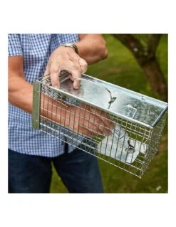 TRAMPA PARA RATONES Y RATAS STV -Plagasonline Ventas trampa multiple para ratones y ratas stv 4