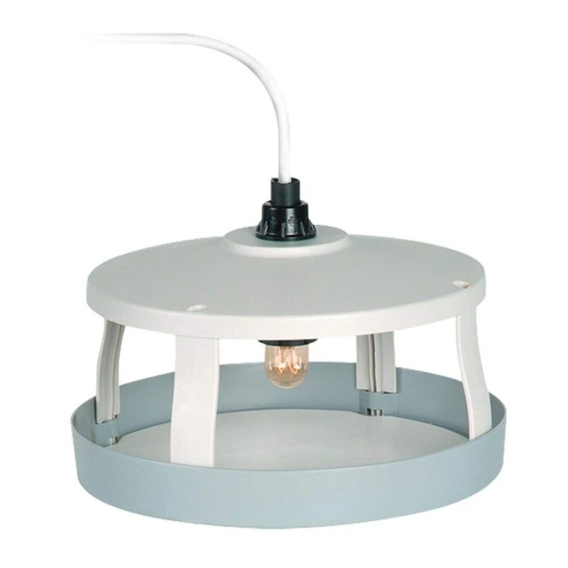 Trampas Para Pulgas K 1 Trampas Para Pulgas K