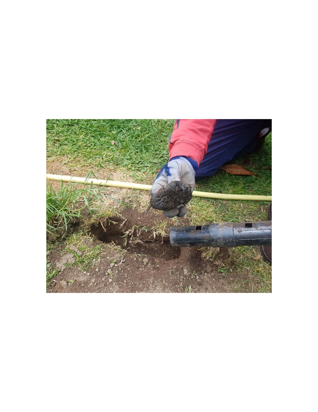 Trampa Para Topos 7 Trampa Para Topos - Imagen 7