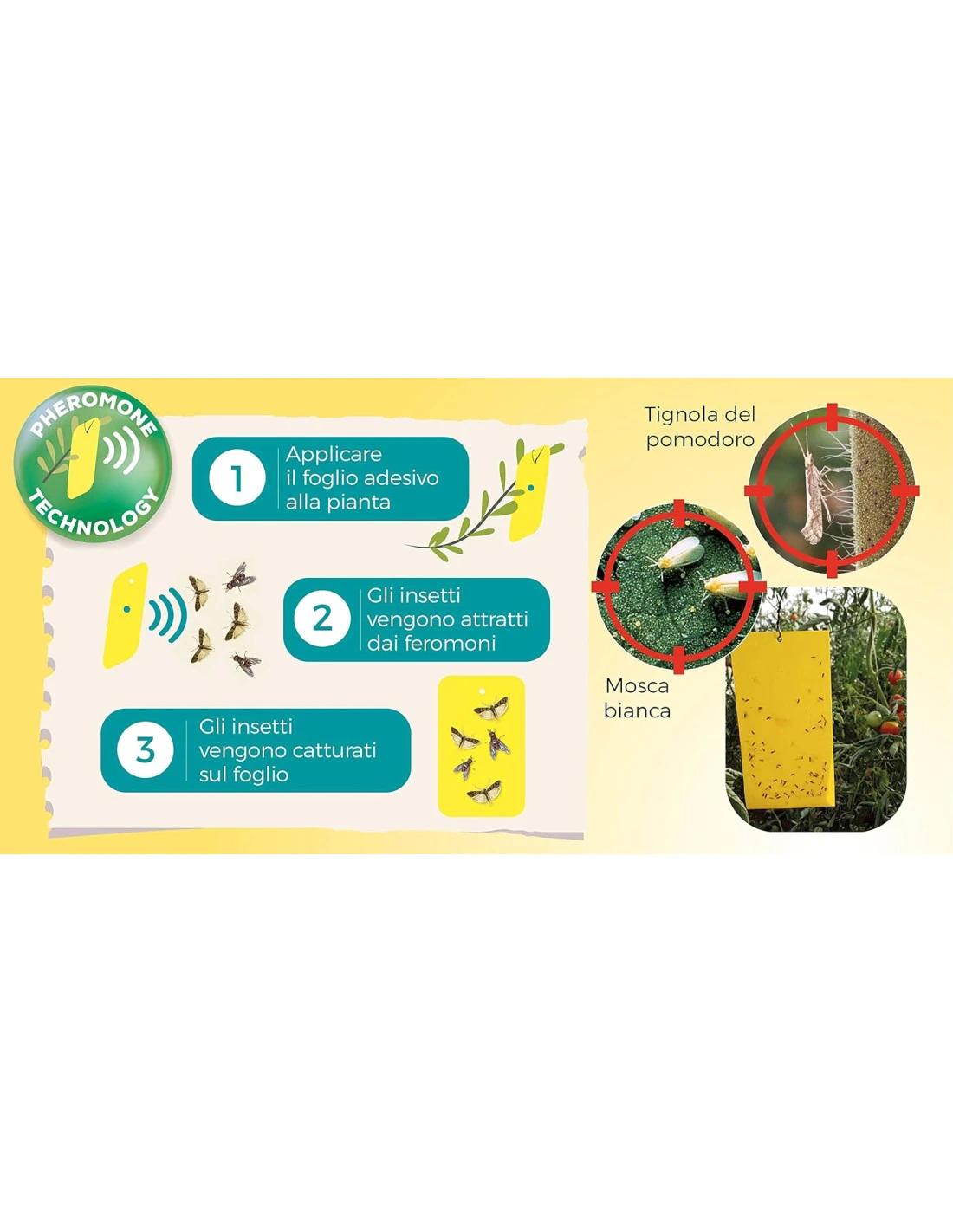 4 Uds. Trampas Con Feromonas Tuta Absoluta Y Mosca Blanca 2 4 Uds. Trampas Con Feromonas Tuta Absoluta Y Mosca Blanca - Imagen 2